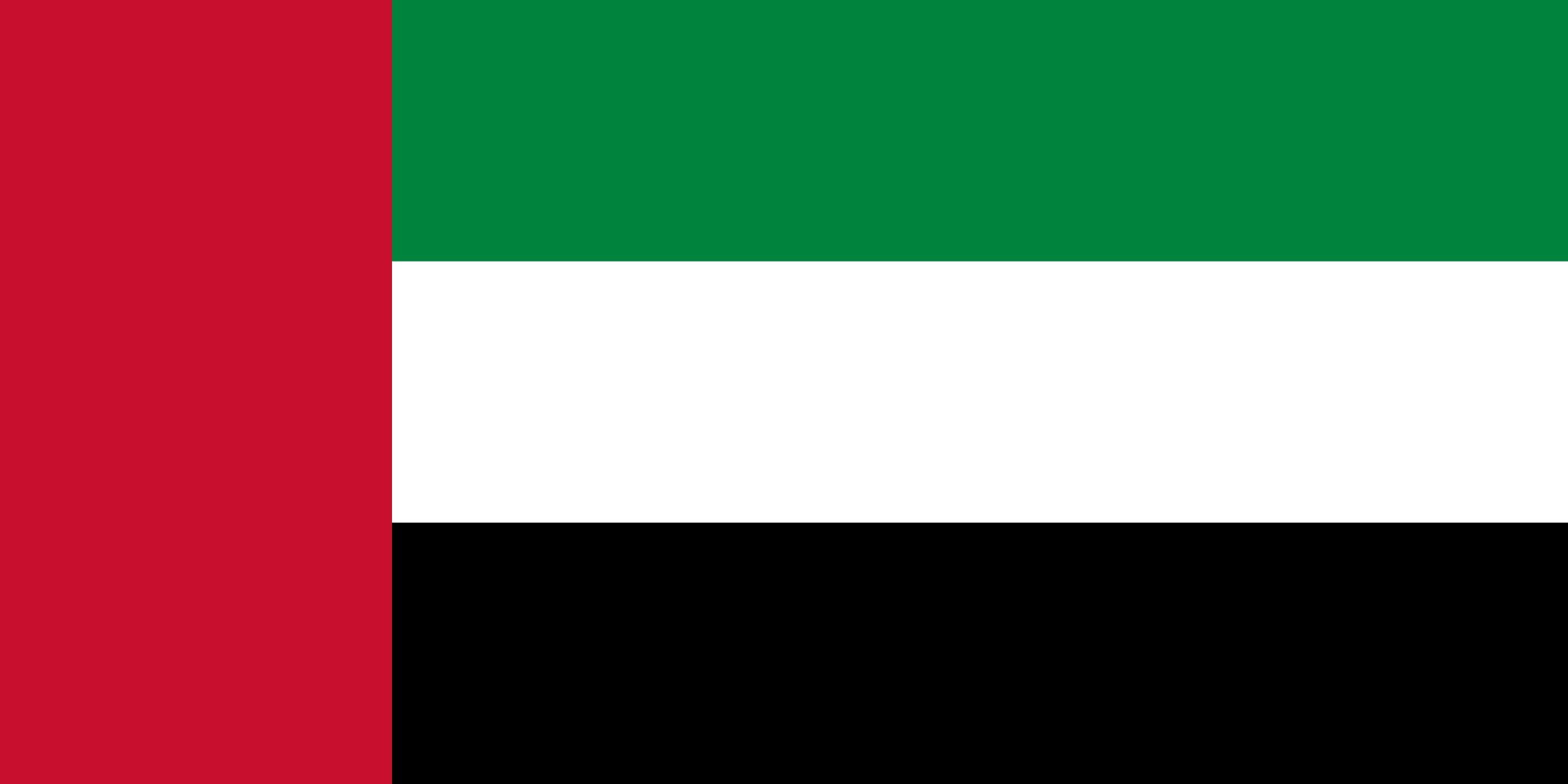 Birleşik Arap Emirlikleri - DUBAİ Bayrağı